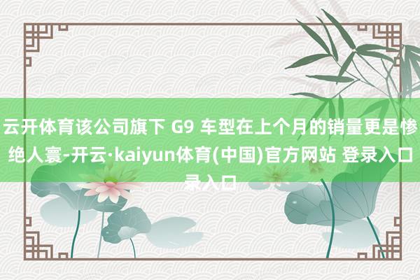 云开体育该公司旗下 G9 车型在上个月的销量更是惨绝人寰-开