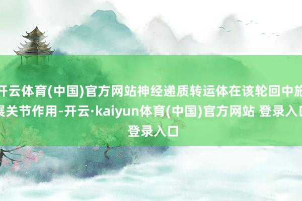 开云体育(中国)官方网站神经递质转运体在该轮回中施展关节作用