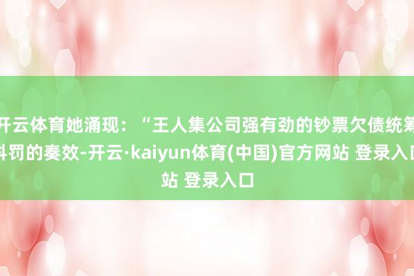 开云体育她涌现：“王人集公司强有劲的钞票欠债统筹科罚的奏效-开云·kaiyun体育(中国)官方网站 登录入口